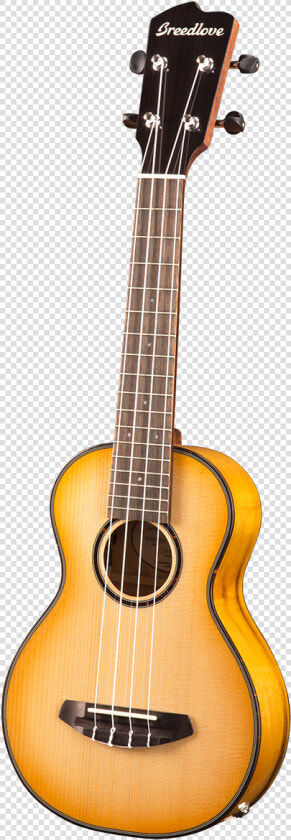 Art And Lutherie Parlour Guitar  HD Png DownloadTransparent PNG