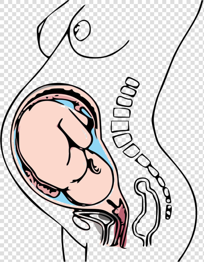 Low Dose Aspirin Can Help With Pregnancy  HD Png DownloadTransparent PNG