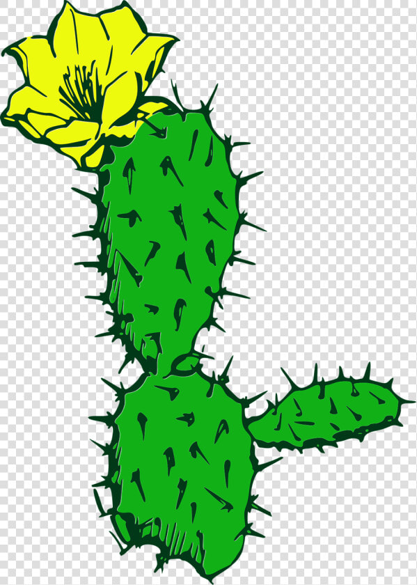 Cactus  Flower  Desert  Plant  Succulent  Cacti   Cactus  HD Png DownloadTransparent PNG