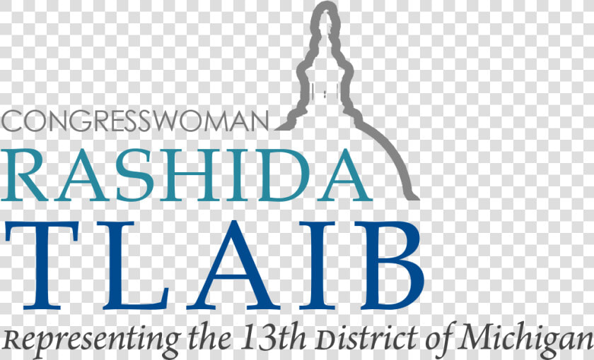 Representative Rashida Tlaib   Discovery Practice Management  HD Png DownloadTransparent PNG