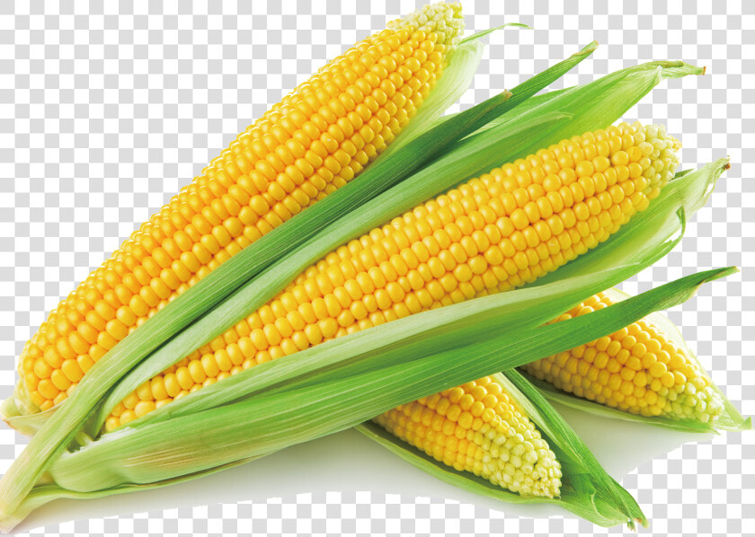 Sweet Corn Corn On The Cob Corn Soup Maize Vegetable   Corn Png  Transparent PngTransparent PNG