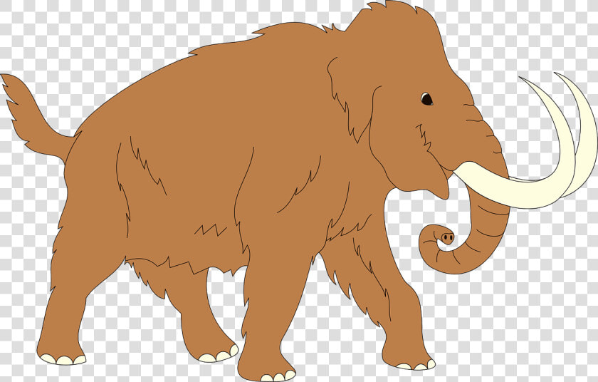 Animal  Ancient  Mammoth  Trunk  Fur  Tusks  Elephant   Mammoth Clipart  HD Png DownloadTransparent PNG