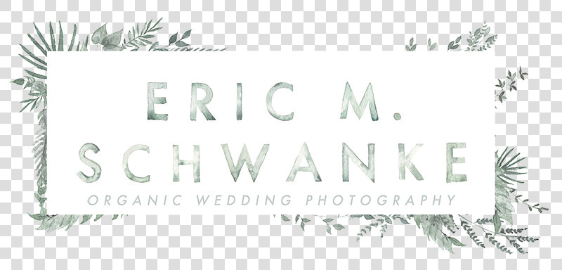 Green Bay Wedding Photographers   Palm Tree  HD Png DownloadTransparent PNG