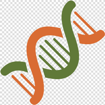 Dna Png   Waterfowl  Transparent PngTransparent PNG