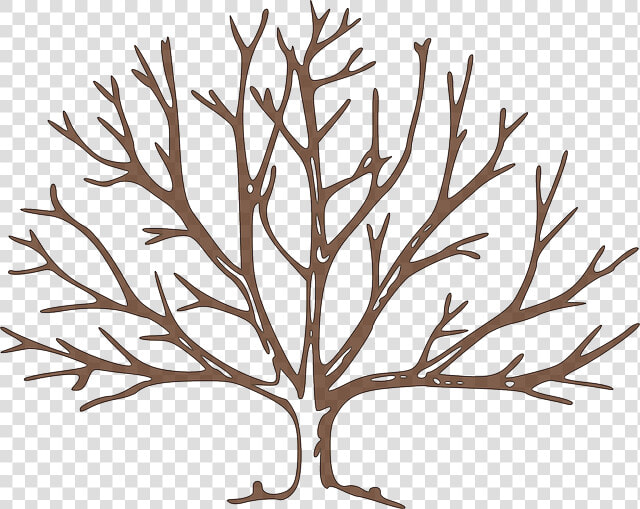 Partes Del Árbol Frutal   Fall Tree Clipart  HD Png DownloadTransparent PNG