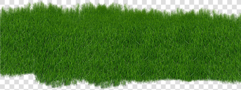 The Basic Principles Of Lawncare   Garden Png  Transparent PngTransparent PNG