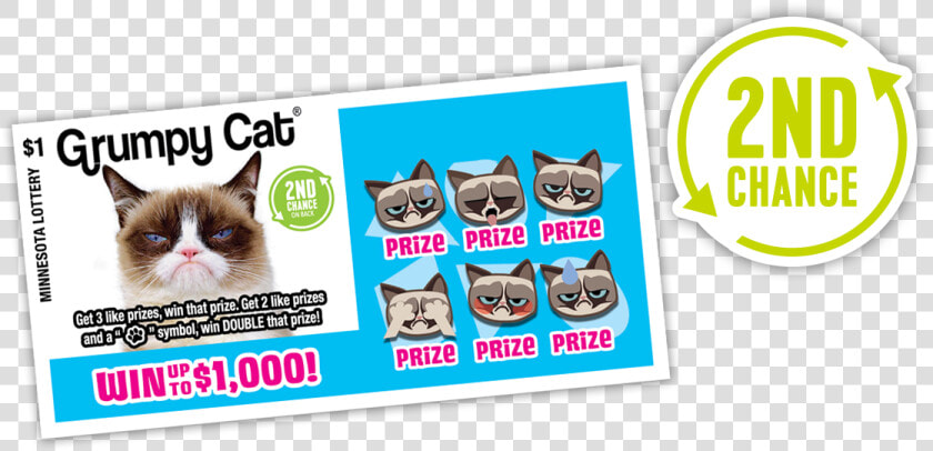 729 Grumpy Cat 2ndchance   Grumpy Cat Lottery Ticket  HD Png DownloadTransparent PNG