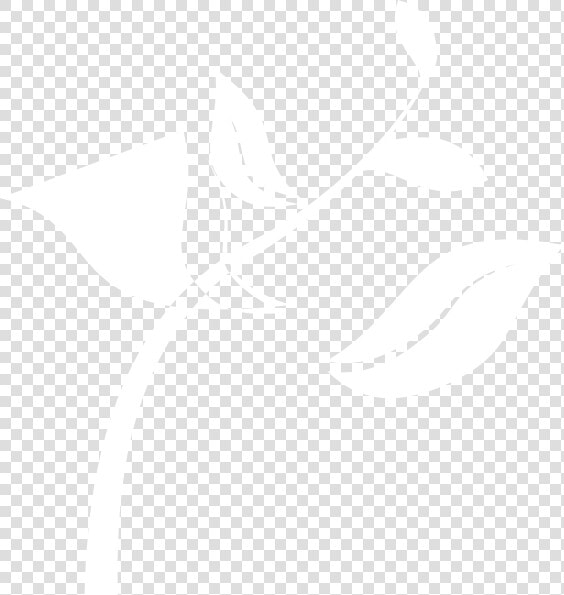 White Seedling Png  Transparent PngTransparent PNG