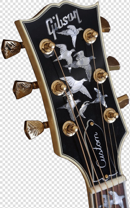 Guitar Headstock Transparent Background  HD Png DownloadTransparent PNG