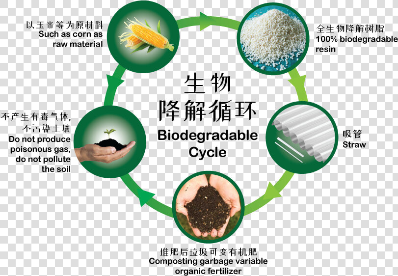 Biodegradable Cycle  HD Png DownloadTransparent PNG