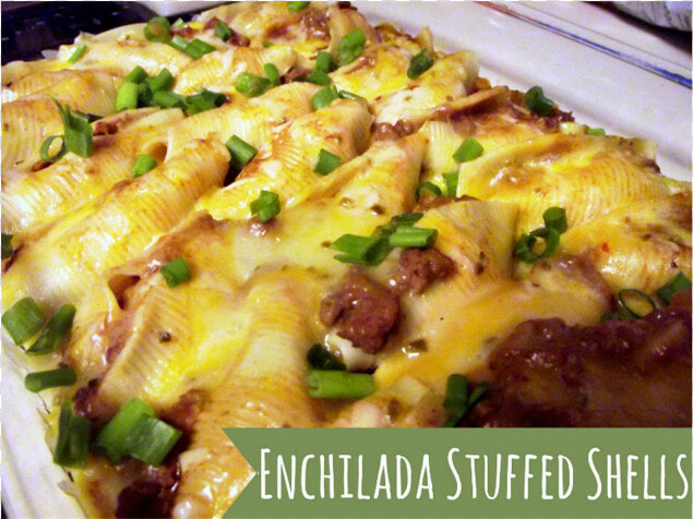 Enchiladas Png  Transparent PngTransparent PNG