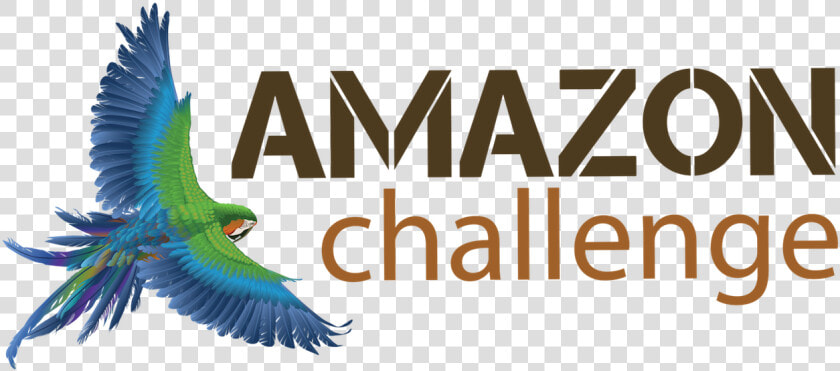 Transparent Amazon Logo Png Transparent   Black Mamba  Png DownloadTransparent PNG