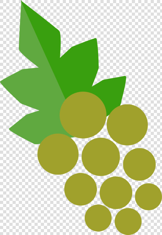 Botany plant leaf   Grape  HD Png DownloadTransparent PNG