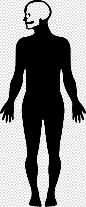 Human Body Silhouette With Focus On The Head   Human Body Shape Png  Transparent PngTransparent PNG