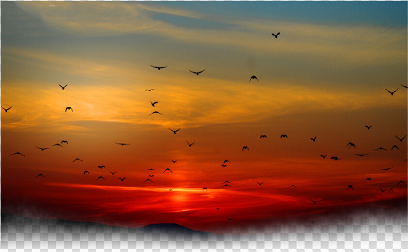  sun  sunset  bird  birds  clouds  cloud  nature  background   Sunset With Birds In Background  HD Png DownloadTransparent PNG