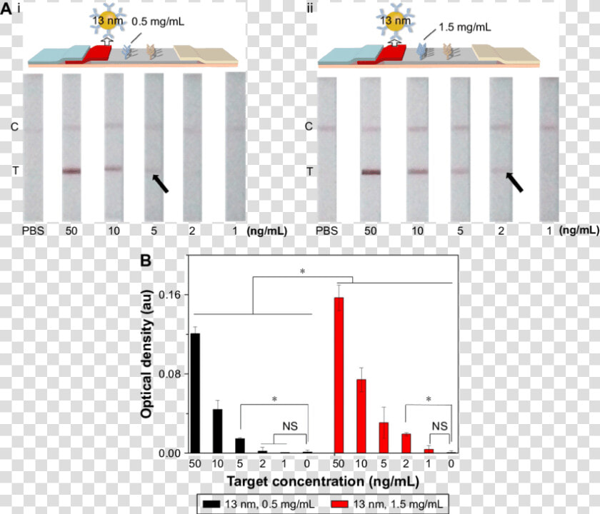 The Effect Of Antibody Concentration At The Test Line   Architecture  HD Png DownloadTransparent PNG