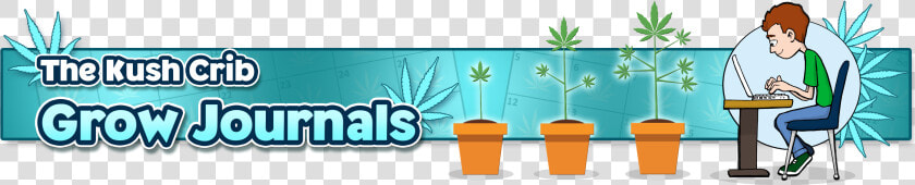 Flowerpot  HD Png DownloadTransparent PNG