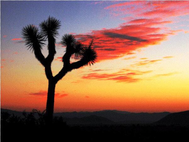 Desert Home With View By Joshua Tree National Park  HD Png DownloadTransparent PNG