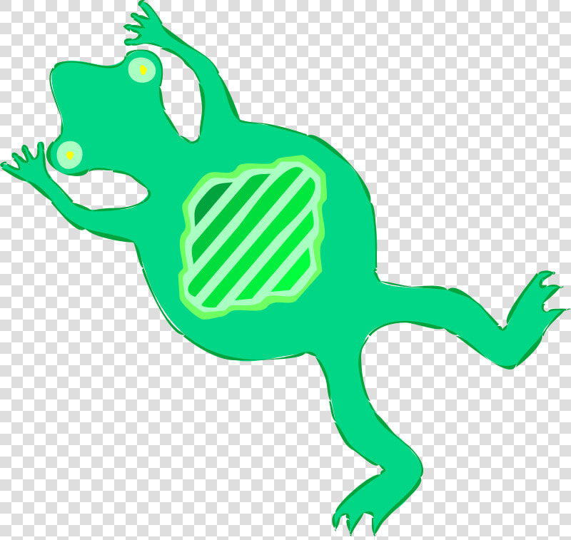 Architetto Rana Frog   Roadkill Clipart Png  Transparent PngTransparent PNG