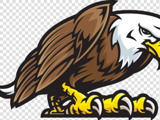 Transparent Cartoon Eagle Png   Eagle Mascot Png  Png DownloadTransparent PNG