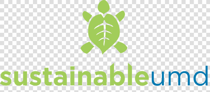 Sustainable Umd   Green Sea Turtle  HD Png DownloadTransparent PNG