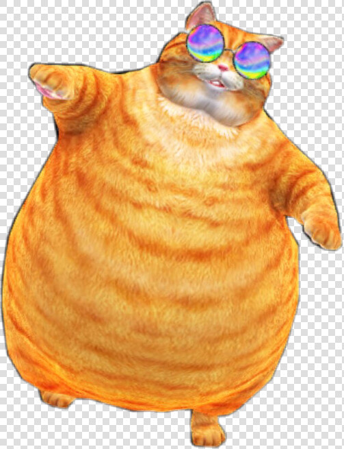 Transparent Tabby Cat Png   Orange Tabby Cat Fat  Png DownloadTransparent PNG