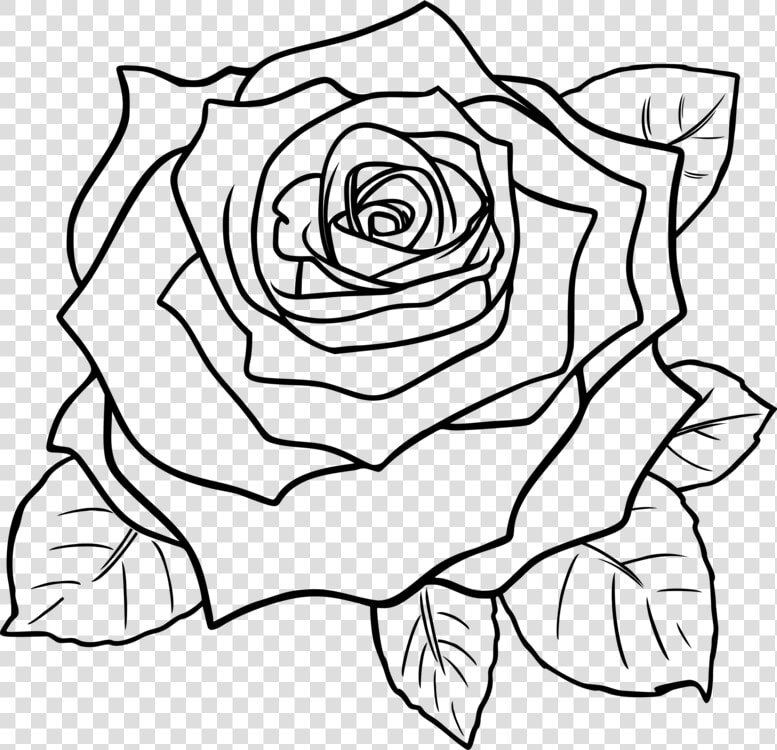 Art symmetry rose Order   Rose Clipart Black And White Flowers  HD Png DownloadTransparent PNG