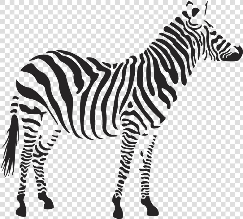 Zebra Clipart Png 4   Zebra Stencil  Transparent PngTransparent PNG