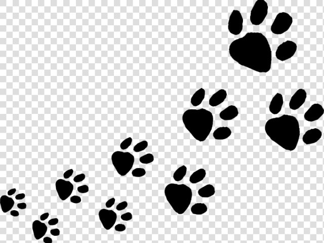 Animal Footprints Clip Art  HD Png DownloadTransparent PNG