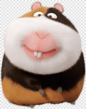 The Secret Life Of Pets Norman   Hamster From Secret Life Of Pets Name  HD Png DownloadTransparent PNG