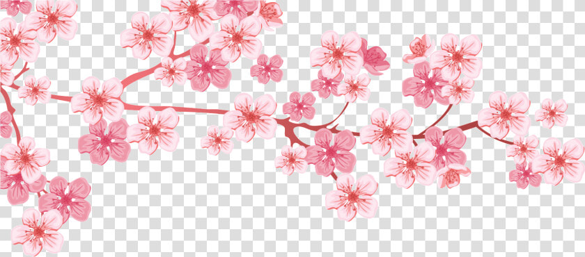 Transparent Cherry Blossom Tree Png   Cherry Blossom Tree Branch Png  Png DownloadTransparent PNG