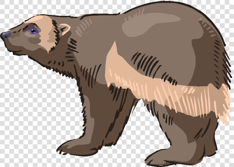 Sloth Bear Clipart Clipartfest   Sloth Bear Clipart  HD Png DownloadTransparent PNG