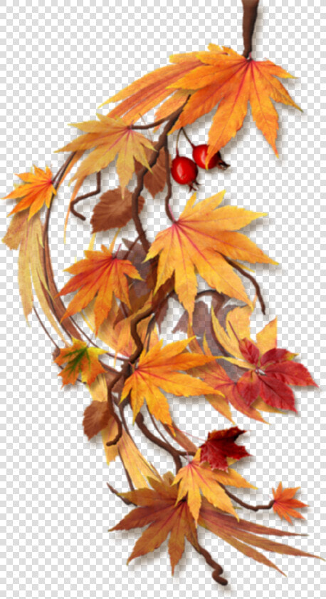 Transparent Fall Leaves Border Clipart   Feuilles D Automne Png  Png DownloadTransparent PNG