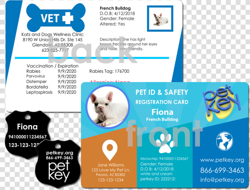 Order Pet Id Card   Nationwide Pet Insurance Card  HD Png DownloadTransparent PNG