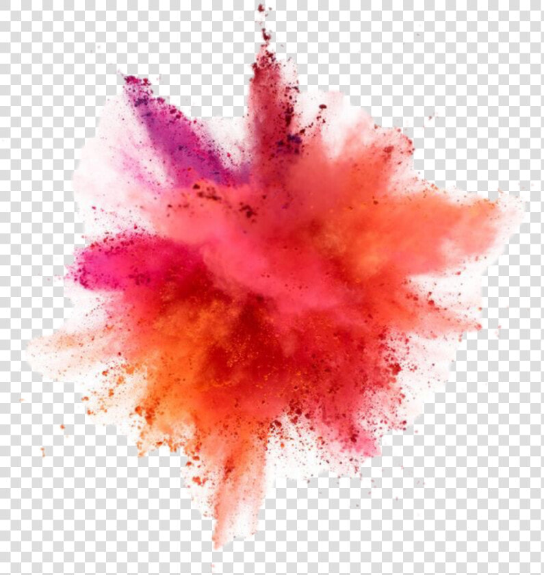 The Explosion Of Color   Paint Powder Explosion Png  Transparent PngTransparent PNG