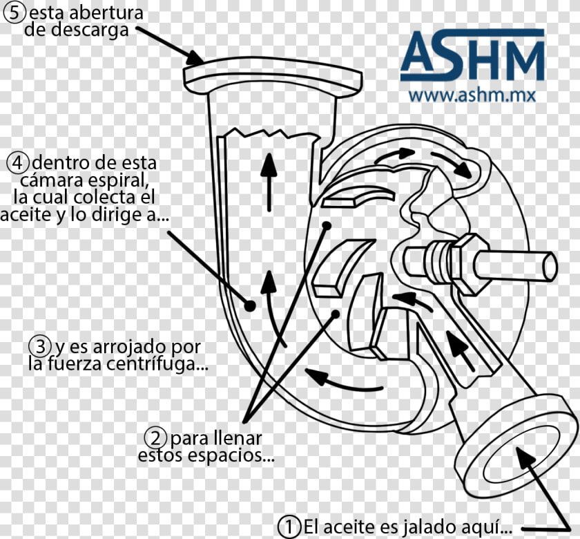 Bomba De Impelente De Desplazamiento No Positivo   Bombas De Desplazamiento No Positivo  HD Png DownloadTransparent PNG