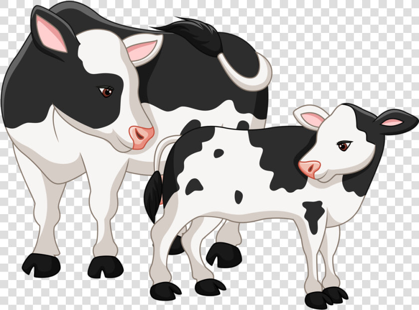 Clip Art Operation Angus Cattle Clip   Clipart Cow And Calf  HD Png DownloadTransparent PNG