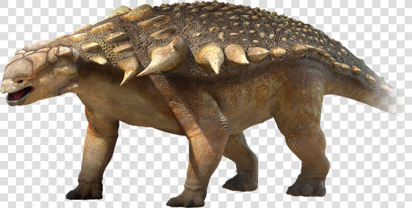 Ankylosaurus Dinosaurs   Png Download   Walking With Dinosaurs Edmontonia  Transparent PngTransparent PNG