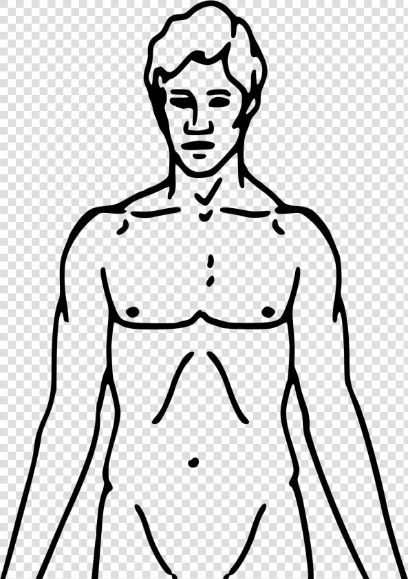 Collection Of Free Male Drawing Human Face Download   Pheromone Party  HD Png DownloadTransparent PNG