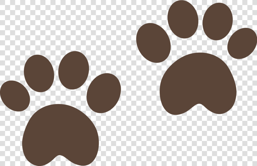 Patas De Urso Png  Transparent PngTransparent PNG