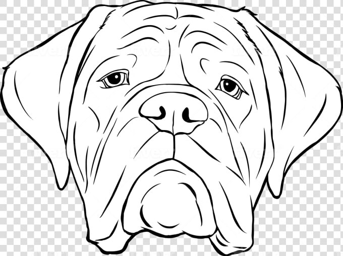 Dog Yawns  HD Png DownloadTransparent PNG