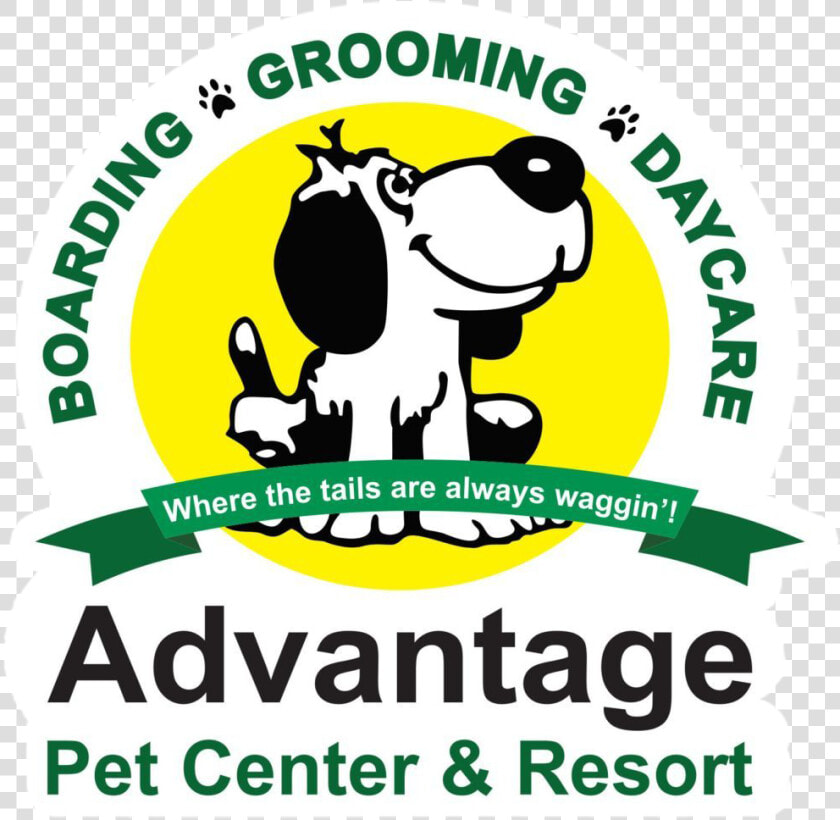 Pet Boarding Kennel Tampa   Concentrix  HD Png DownloadTransparent PNG