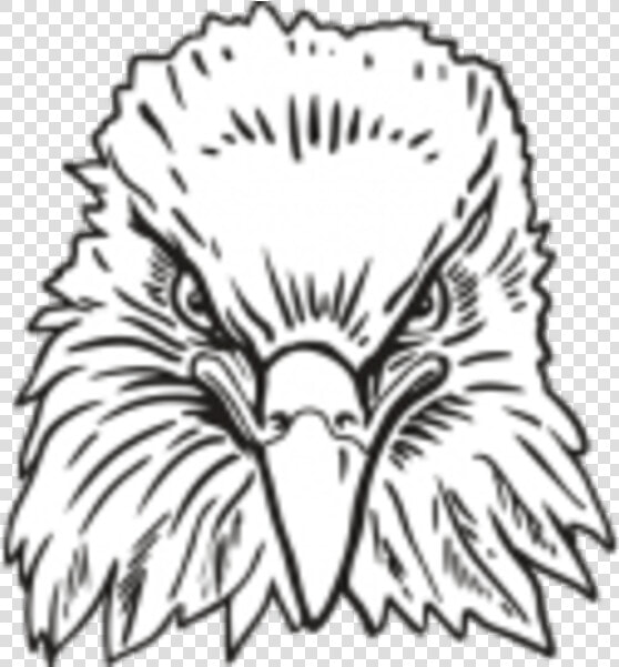 Transparent Eagle Head Clipart Black And White   Eagle Front Face Drawing  HD Png DownloadTransparent PNG