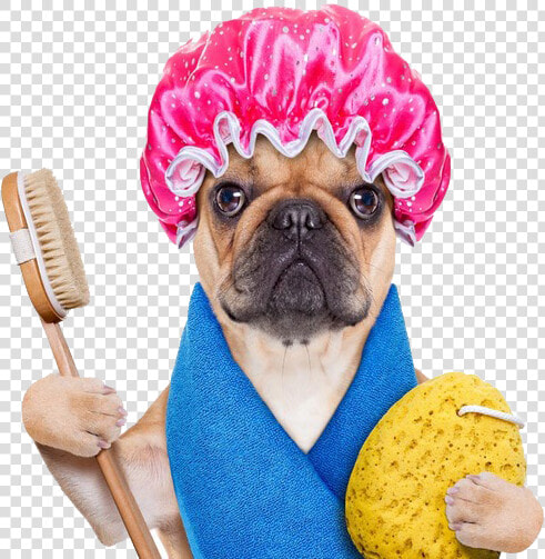 Cute Towel Funny Personnel Dog Bath Hot Clipart   Dog Having A Shower  HD Png DownloadTransparent PNG