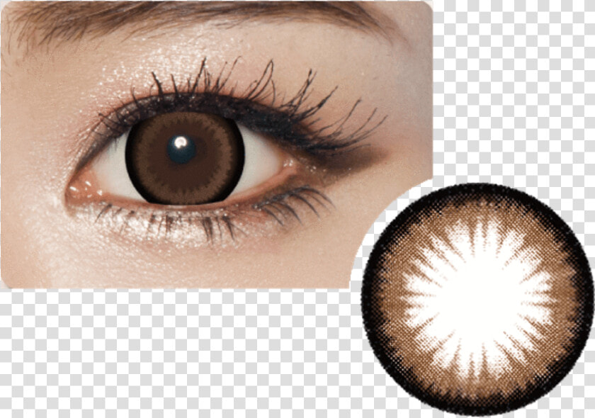 Geolica Princess Mimi Almond Choco  2 box Geolica®   Orange Brown Contact Lens  HD Png DownloadTransparent PNG