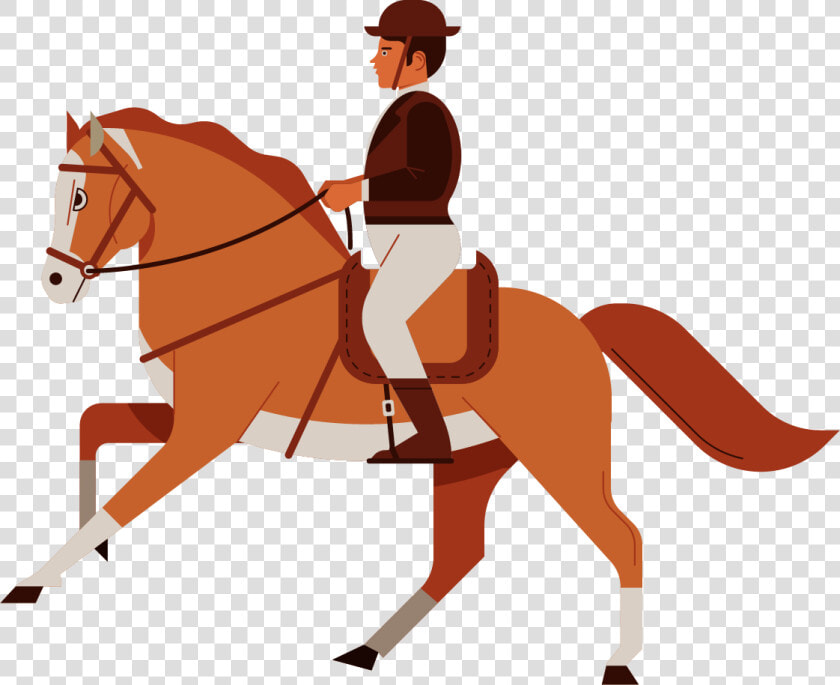 Horseback Riding Drawing Cartoon  HD Png DownloadTransparent PNG