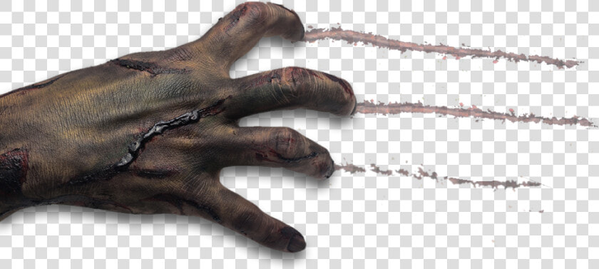 Zombie Transparent Background Png   Transparent Background Zombie Hands  Png DownloadTransparent PNG