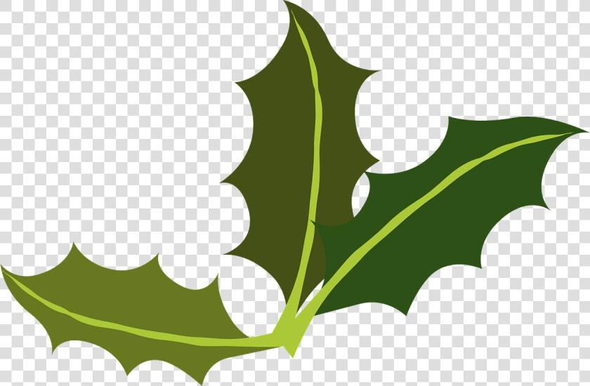 Yaupon Leaf Miner Common   Transparent Holiday Clip Art  HD Png DownloadTransparent PNG