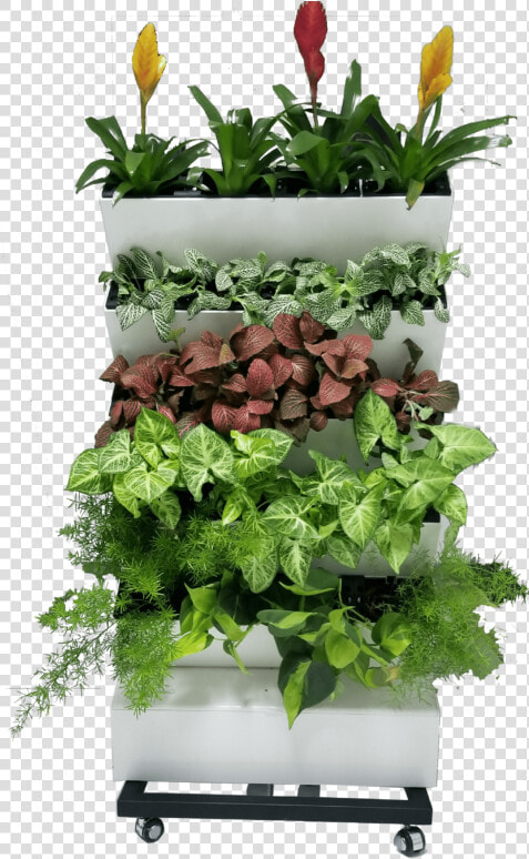 Flowerpot  HD Png DownloadTransparent PNG