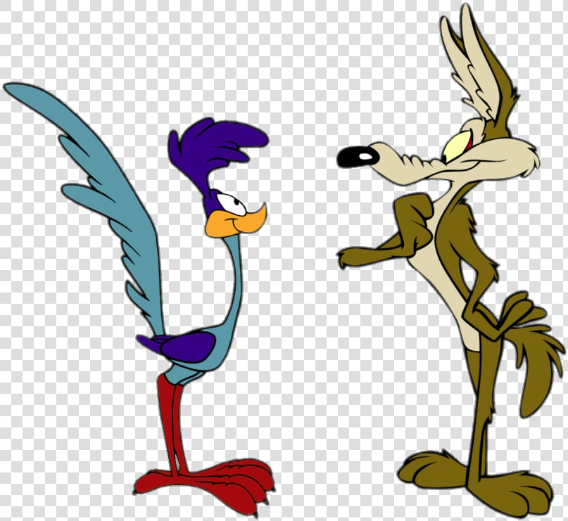 Road Runner And Wile E  HD Png DownloadTransparent PNG